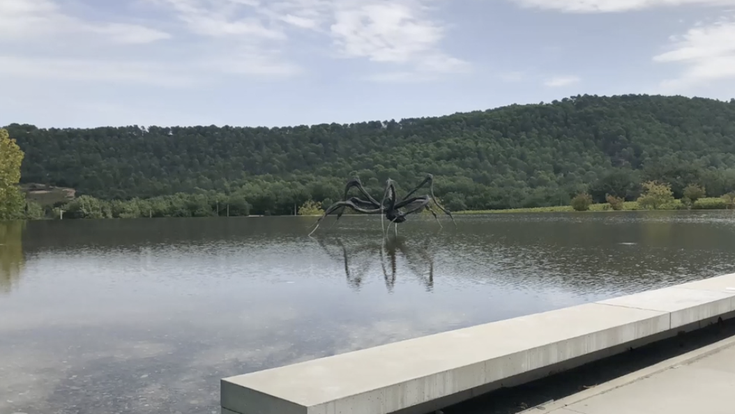 Louise Bourgeois, Crouching Spider, 2007.Courtesy of Château La Coste.