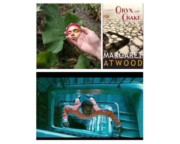 Top Left: A photograph by Nina Kovensky, displayed in the exhibition, Inside there is only one residence at the Modern Museum of Buenos Aires. Courtesy of Gastón Tourn.Top Right: Margaret Atwood, Oryx and Crake, 2003. Published by Little Brown Book Group. Cover art by Terry Karydes.Bottom: Gagarin, film still, 2020. Directed by Fanny Liatard and Jérémy Trouilh.