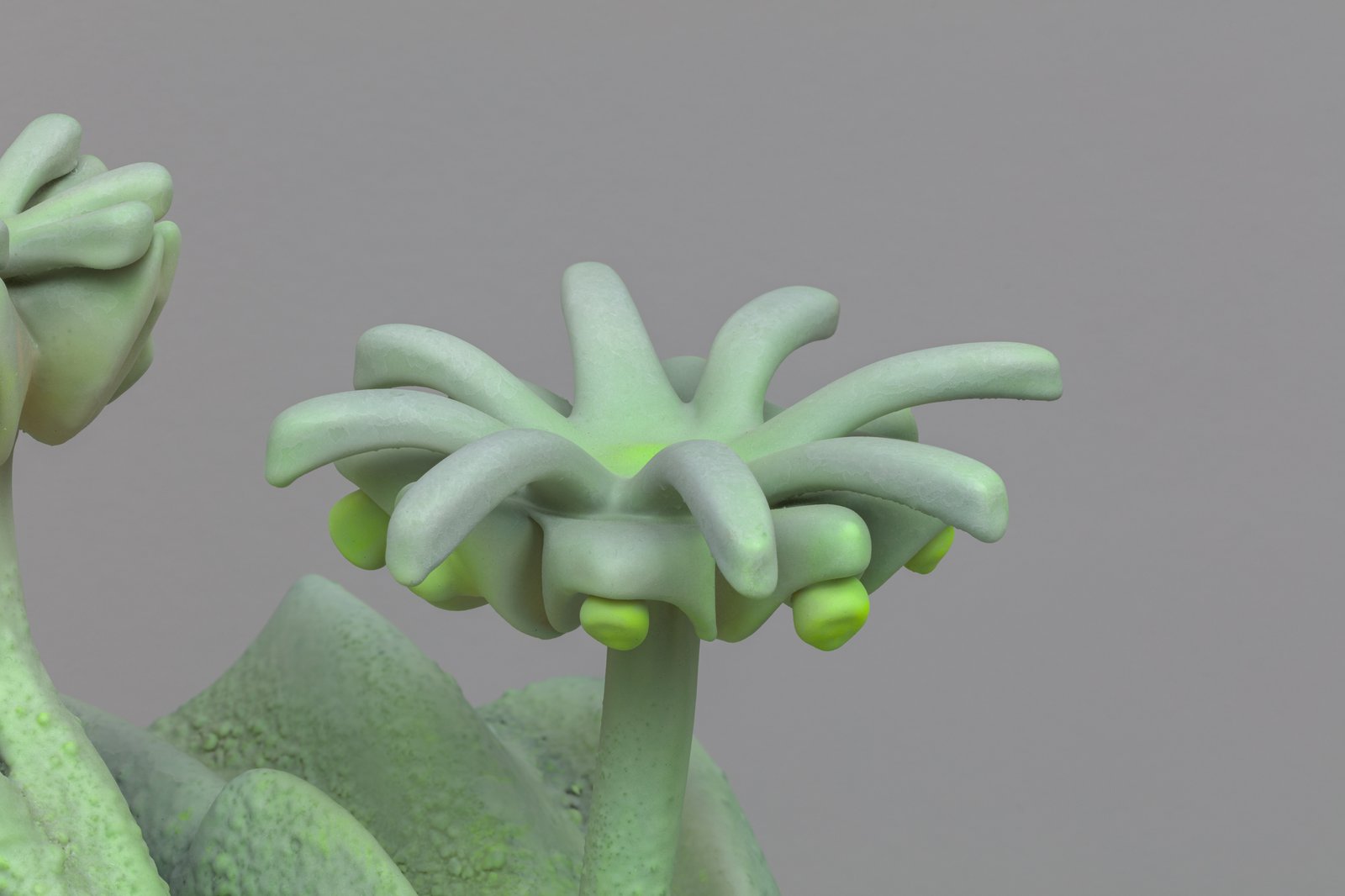 Marguerite Humeau, Marchantia, 2022, detail view.Wax, sugars, mineral dust, glass, natural extracts, pigments, thermochromic pigments, plant-based and synthetic resin, nylon, bronze, work: 56 x 86.5 x 48.5 cm; overall: 151 x 86.5 x 48.5 cmCourtesy of the artist and CLEARING