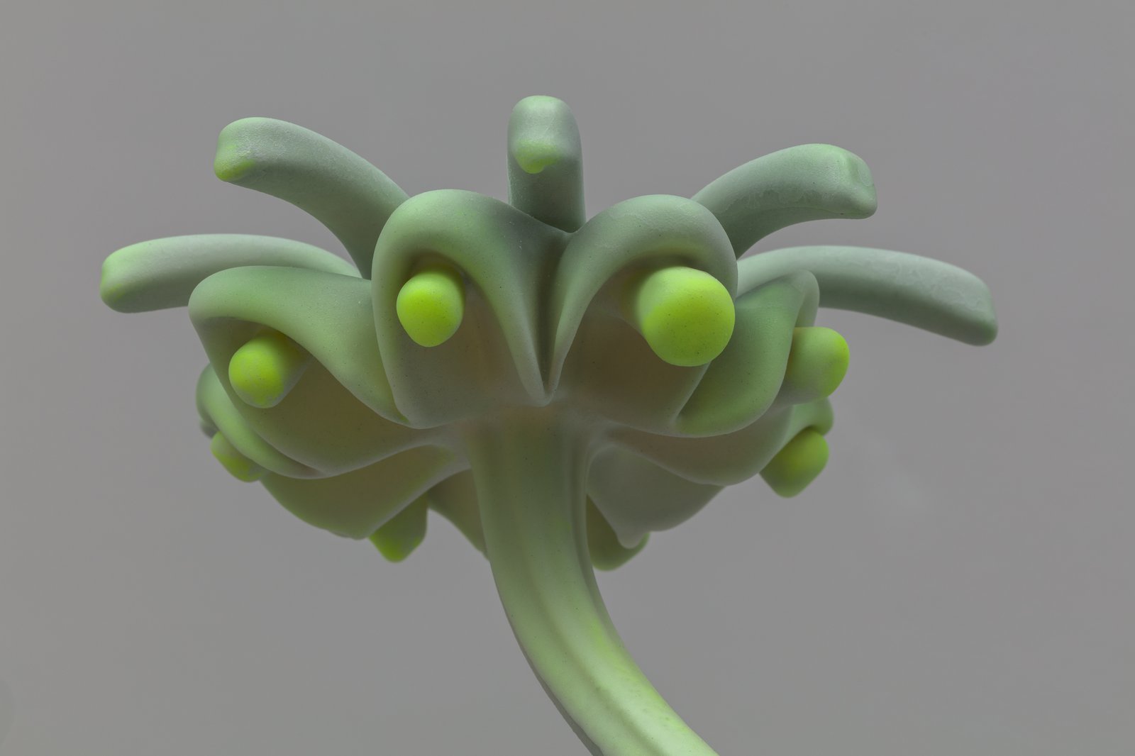 Marguerite Humeau, Marchantia, 2022, detail view.Wax, sugars, mineral dust, glass, natural extracts, pigments, thermochromic pigments, plant-based and synthetic resin, nylon, bronze, work: 56 x 86.5 x 48.5 cm; overall: 151 x 86.5 x 48.5 cmCourtesy of the artist and CLEARING
